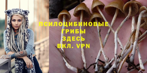 спайс Алексин