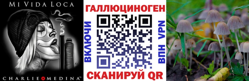 Галлюциногенные грибы Psilocybine cubensis  Тюмень 